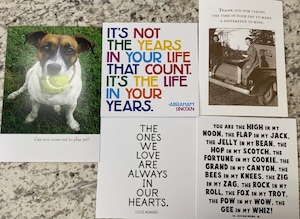 Standard Greeting Cards